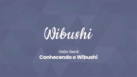 Wibushi Como o Wibushi pode ajudar o seu negócio a crescer - Conhecendo o Wibushi